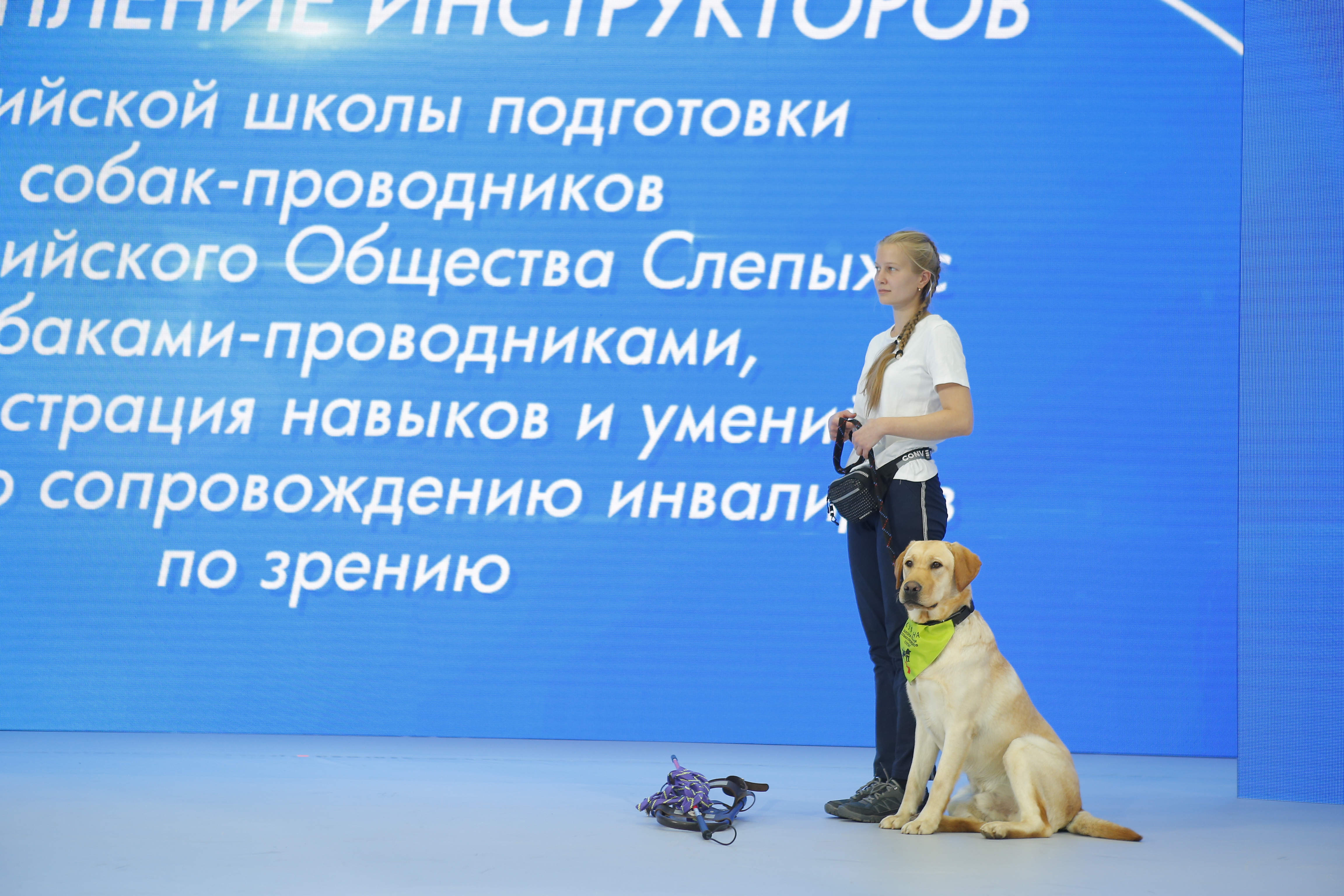 В рамках чемпионата «Абилимпикс» состоялось показательное выступление собак-проводников для инвалидов по зрению