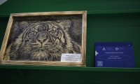 Арт-объект «Амурский тигр»